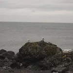 Gull Cottage