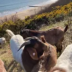 Flat-C, 4 Adults, 20 Mins To Beach, Netflix, Wifi, Sleeps 4 Adults