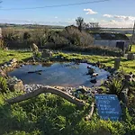Clotted Cream -Lydcott Glamping, Cornish Sea Views