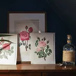 Juniper Cottage