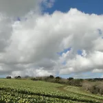 Cober House