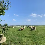 Rescorla Retreats - Ivory