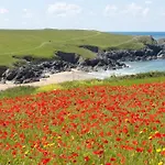 Wish You Were Here, Crantock