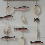 Cockleshell