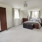 Seagulls