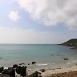 Gannet Watch