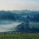 Bentley Rise