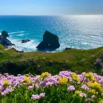 Polrunny Farm Sloe Cottage With A Sea View