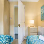 Meadow View 64