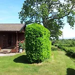 Pine Tree Lodge