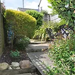 Bluebell Cottage - Seaton