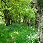 Brynarth Country Cottages