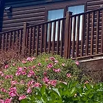 Bumblebee Lodge