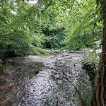 Forest Haven Newcastle