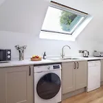 Squirrels Leap