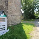 Connie'S Cottage