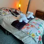 Delightful One Bed Victorian Flat