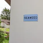 Seaweed