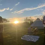 Yule Tree Campsite