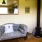 Lilly'S Pad