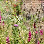Wildlife Haven