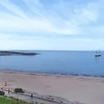 Turtles Nest