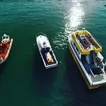 The Harbour Lights