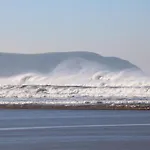 Bay