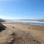 Bay
