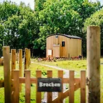 Bracken
