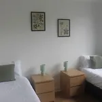 Contractors Comfort, Free Parking, Flat D