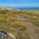 2 Bed In Nefyn 44492