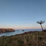 The Cove, Portreath