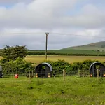 The Piglets 3