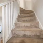 The Waves