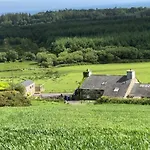 Ty Newydd