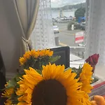 Bella Vista