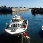 Aidan - 28254