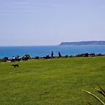 Lotts View