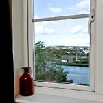 Cormorant View