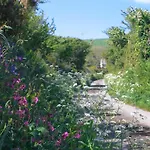 Bee Cottage