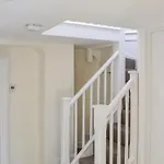 The Sloop