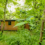 Woodpecker - Uk43451