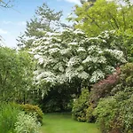 Garden Studio