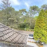 Treetops