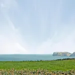 The Lookout