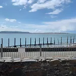 Driftwood