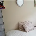 Pets Happy