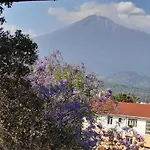Boulevard Inn Mt Meru