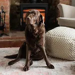 6 Bed In Rye 93953